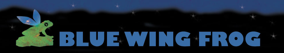 BlueWingFrog header fireflies